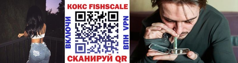 где можно купить   Аткарск  COCAIN FishScale 