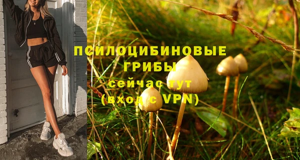 прущие грибы Белая Калитва