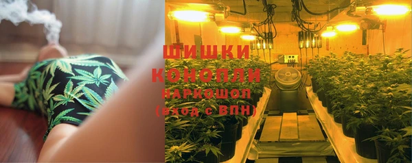 гидропоника Билибино