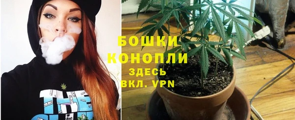 прущие крисы Теберда