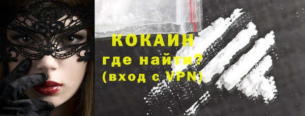 индика Таштагол