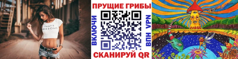 Галлюциногенные грибы Cubensis  Аткарск 