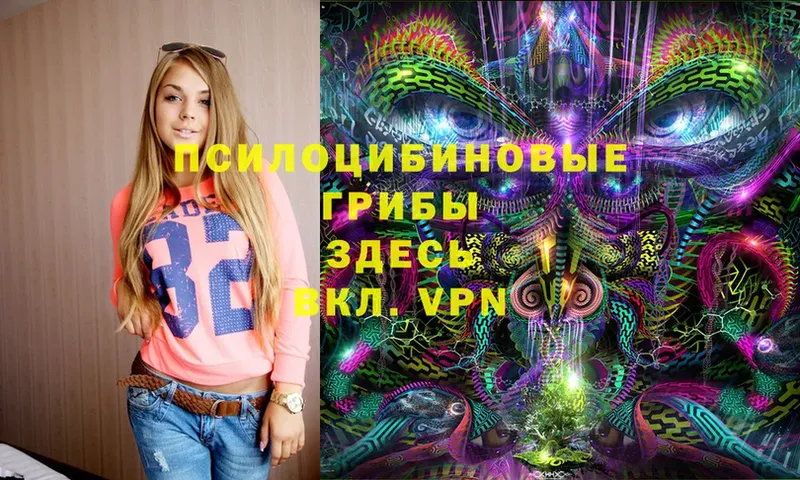 где можно купить   Аткарск  Галлюциногенные грибы Magic Shrooms 